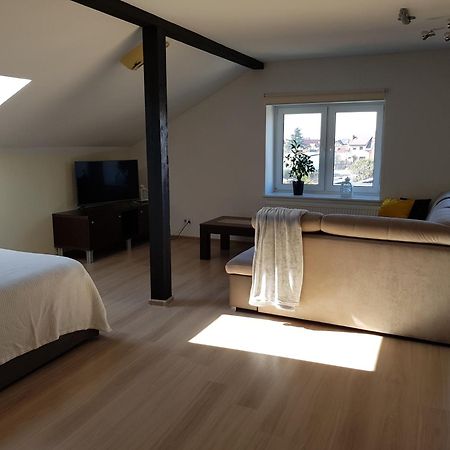 חויניצה Malinowa 36 Apartamenty חדר תמונה