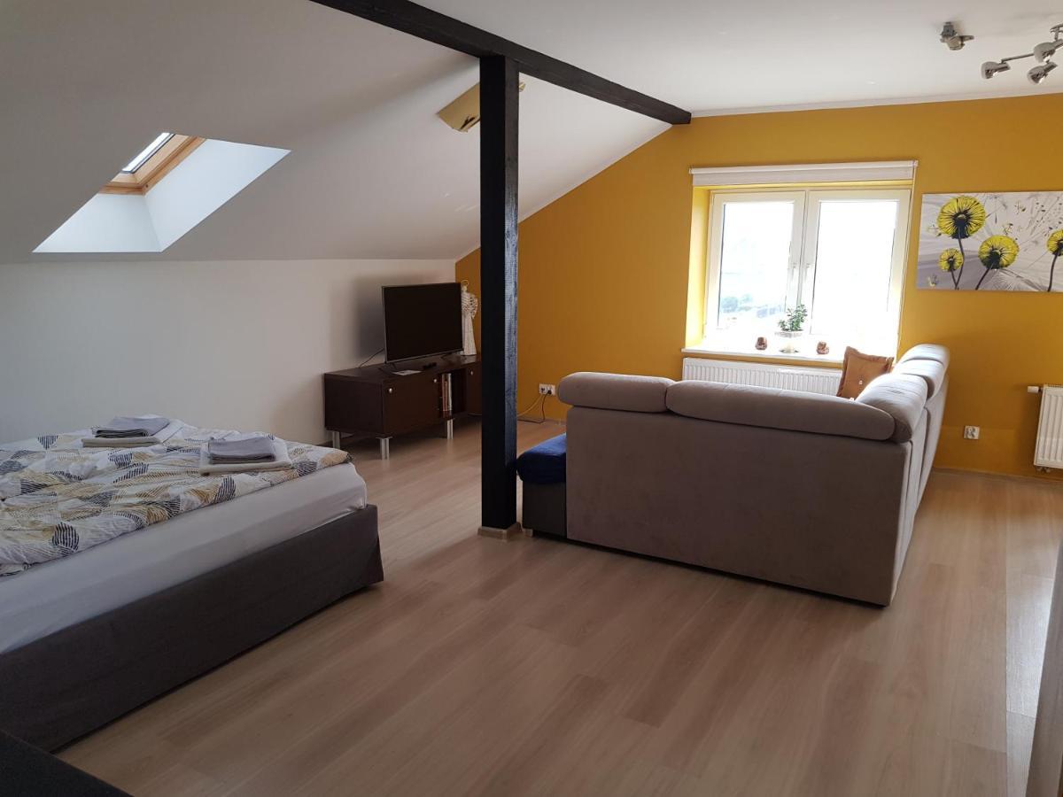 חויניצה Malinowa 36 Apartamenty מראה חיצוני תמונה
