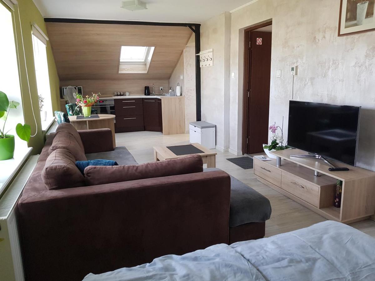 חויניצה Malinowa 36 Apartamenty מראה חיצוני תמונה
